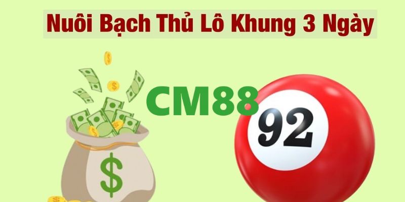 Hướng Dẫn Chọn Bạch Thủ Lô Khung 3 Ngày Chính Xác Nhất 4 Lý do bạn nên chọn chơi bạch thủ lô khung ba ngày